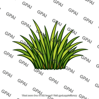 Grass