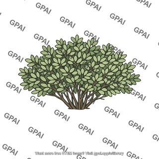 Shrub