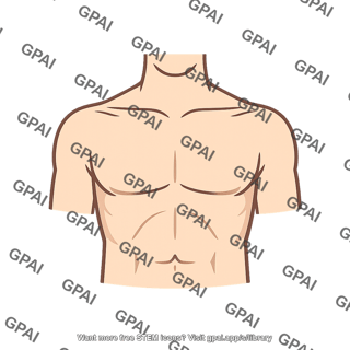 Chest
