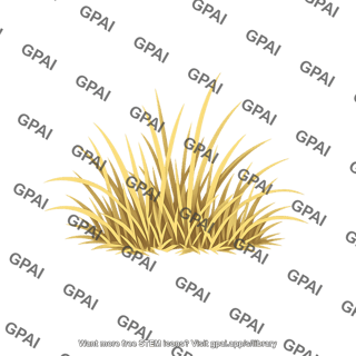 Dry grass