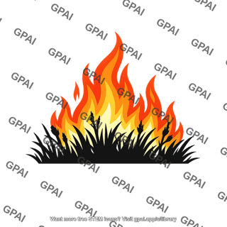 Vegetation fire
