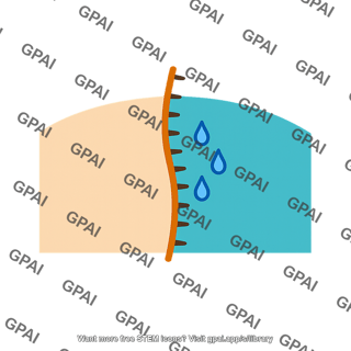 Dryline