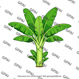 Banana plant