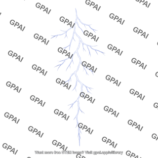 Lightning leader