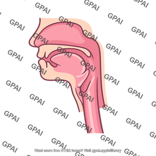 Throat