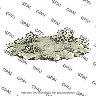 Lichen