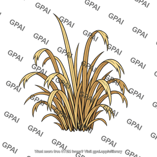 Tall grass withered