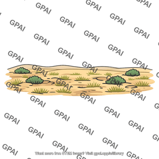 Steppe