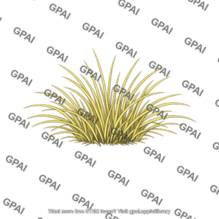 Steppe grass clump