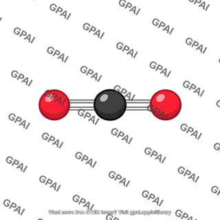 Carbon dioxide molecule