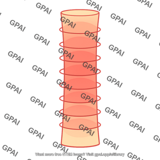 Warm tropical air column
