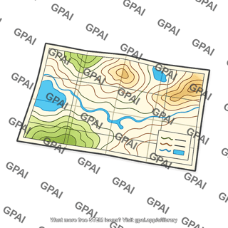 Topographic field map