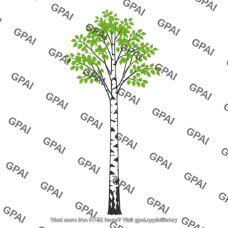 Birch tree