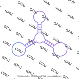 Rna multiloop junction medium 2b