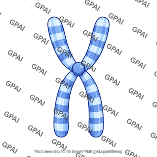 Human karyotype chromosome 5