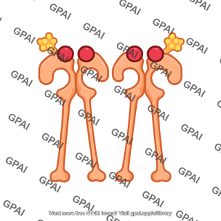 Nod 1 2 ligand bound
