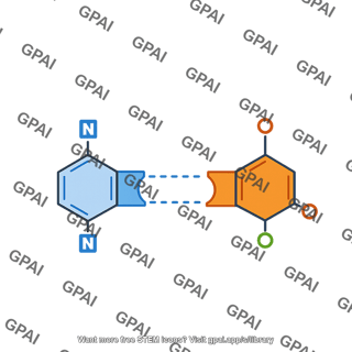 Base pair a u horizontal