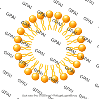Micelle one tail lipid