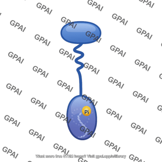 Non receptor tyrosine kinase