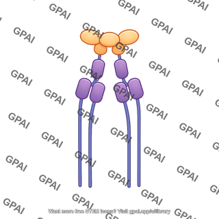 Tnf tnfr complex soluble tnf
