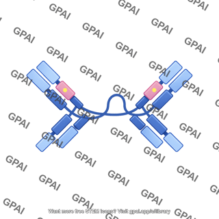 Antibody iga dimer editable