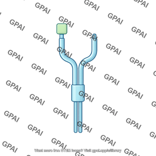 Egfr monomer inactive