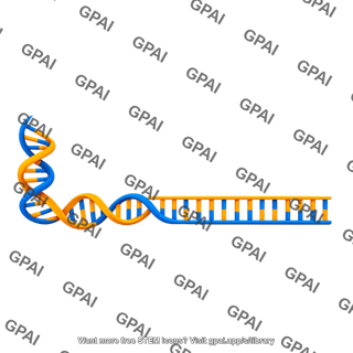 Dna unwinding right