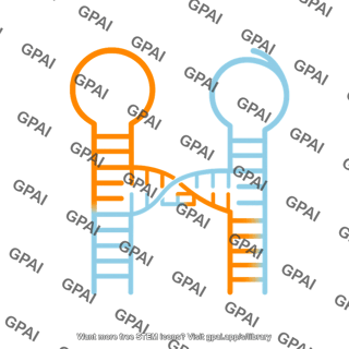 Pseudoknot hhh type 678