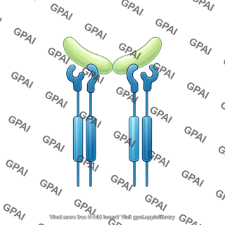 Tgf beta with ligand