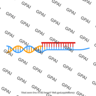 Dna primer