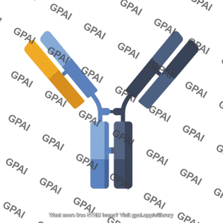 Bispecific antibody 02