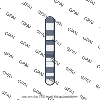 Mouse karyotype chromosome 11