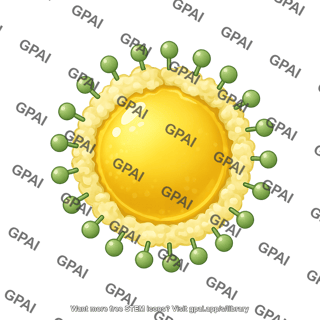 Fat droplet bile salt emulsified 2