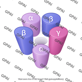 Gaba a receptor