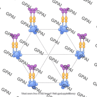 Tnf tnfr complex soluble tnf hexameric network