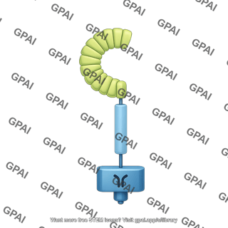 Brassinosteroid receptor bri1