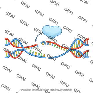 Dna ligase dna damage recognition