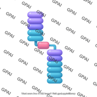 Notch4