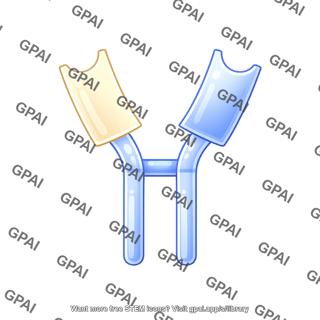 Antibody fragment hinge region