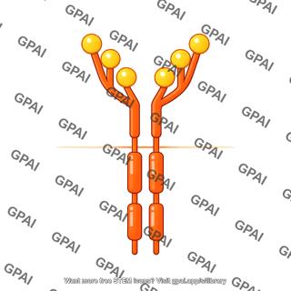 Stem cell factor receptor scfr s kit