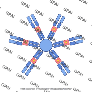 Antibody igm hexamer editable