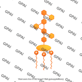Lipopolysaccharide 2