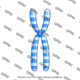 Human karyotype chromosome 1