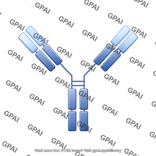Antibody igg1 omalizumab editable