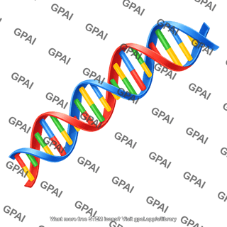 Dna contrasting strand 3d 01