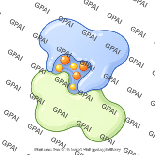 Glycogen phosphorylase cartoon