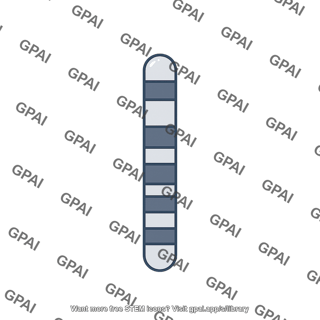 Mouse karyotype chromosome 12