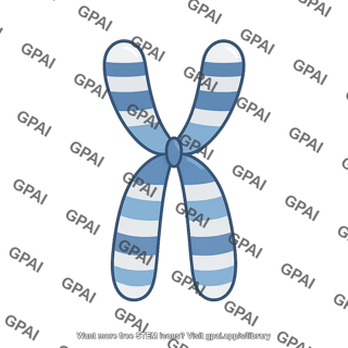 Human karyotype chromosome 10