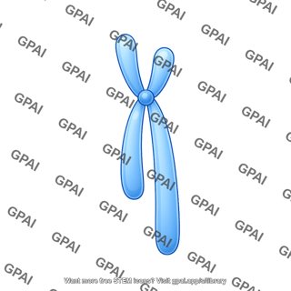 Chromosome simple acrocentric