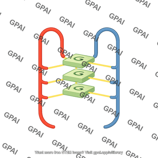 G quadruplex bimolecular hairpin
